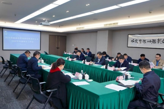 省尊龙凯时集团召开2025年内部审计事情会